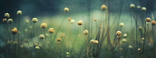 Nostalgic NAture No 13