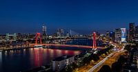 Rotterdam city lights