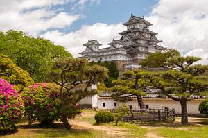Japans kasteel van Adri Vollenhouw