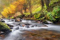 Herfstkleuren Auvergne 03 van Ruud Peters thumbnail