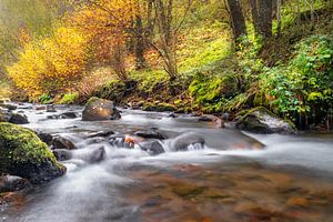 Herbstfarben Auvergne 03