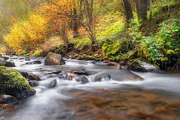 Herfstkleuren Auvergne 03