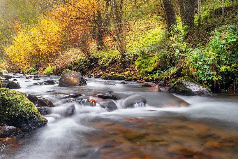 Herfstkleuren Auvergne 03 van Ruud Peters