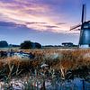 Mill in the Biesbos by Rene Siebring