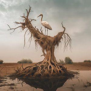 Woodstork