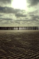 Poteaux de plage