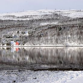 Red wooden cottage by fjord with snow-capped mountains in the background by Studio LE-gals