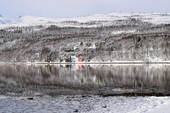 Rood houten huisje aan fjord met besneeuwde bergen op de achtergrond