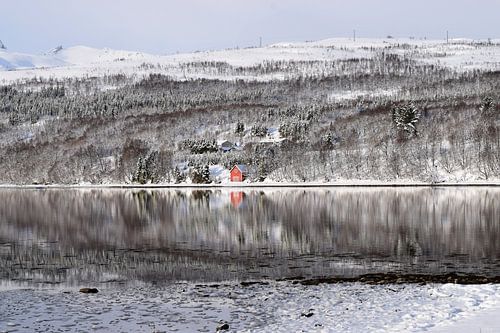 Rotes Holzhäuschen am Fjord mit schneebedeckten Bergen im Hintergrund