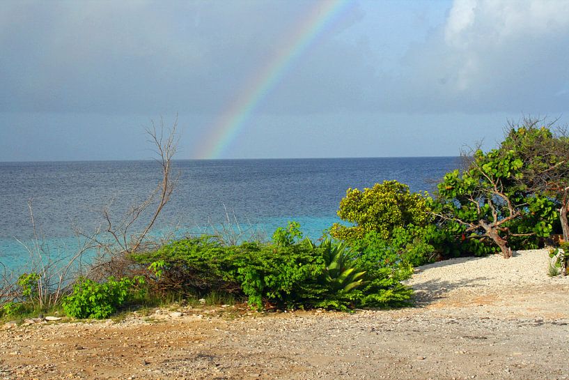 Zon zee en regenboog par Silvia Weenink