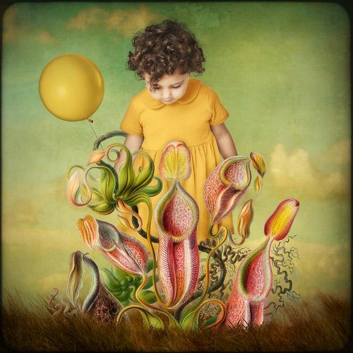 a Child's Curiosity van Marja van den Hurk