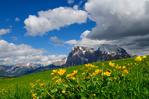 Seiser Alm oder Seiseralm in den Dolomiten im Frühling