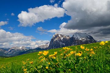 Seiser Alm of Alpe di Siusi in de Dolomieten in het voorjaar