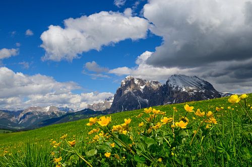 Seiser Alm of Alpe di Siusi in de Dolomieten in het voorjaar