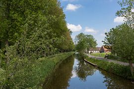 Nature photography by Etienne Oldeman