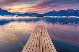Morgen am Hopfensee
