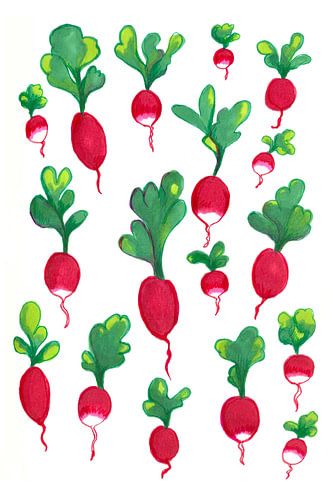 Radishes