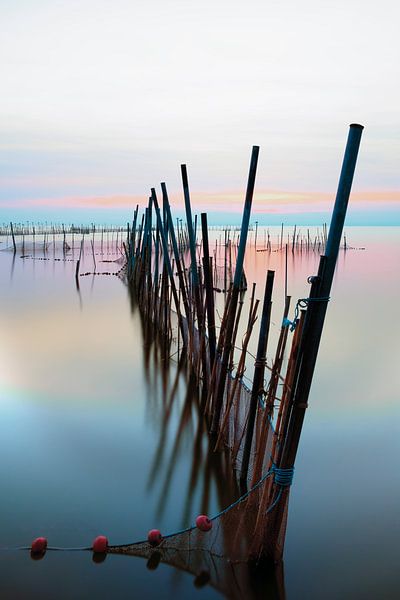 De visnetten in Laguna d' Albufera van Truus Nijland
