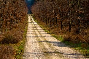 Long long way