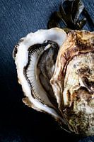 Oyster