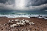 Stormy coast