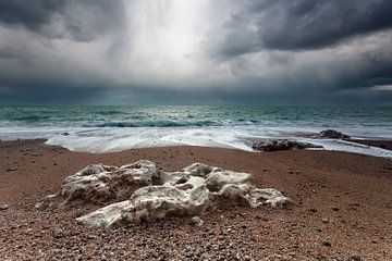 Stormy coast by Olha Rohulya