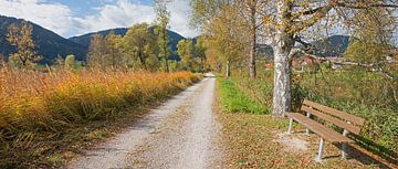 Spazierweg im Pulvermoos Unterammergau Naturlandschaft mit Bank von SusaZoom