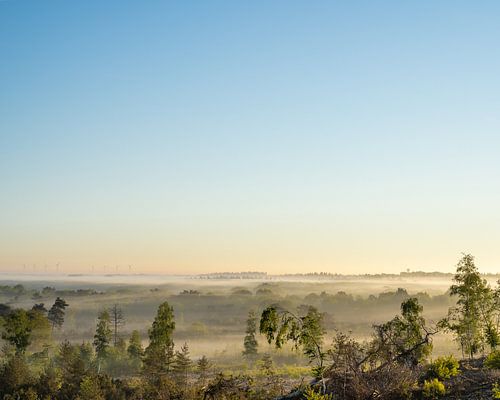 Zonsopkomst met mist en windmolens