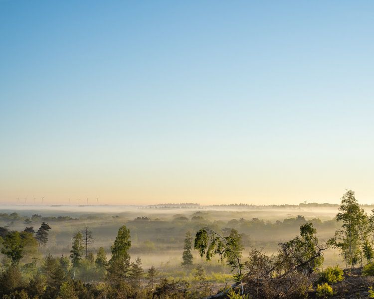 Lever de soleil avec brouillard et moulins à vent par zeilstrafotografie.nl