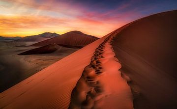 De weg naar de top van de woestijn van Loris Photography