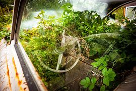 Bastnas car cemetery in sweden by Gijs Verbeek