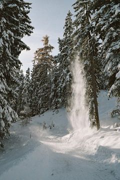 Sneeuwval bos van Jisca Lucia