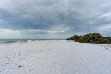 USA, Florida, Onweer op komst over honeymoon eiland wit zandstrand met groene planten van adventure-photos