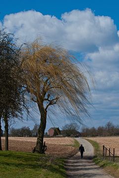 Authentiek Limburgs Heuvelland by Rick Biermans