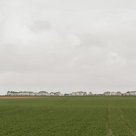 paysage rural sur Diederik De Mezel