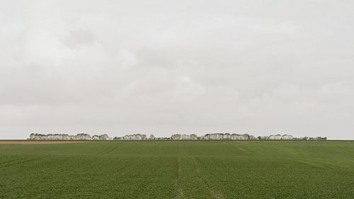landbouwlandschap