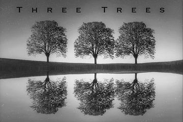 Drie Bomen “Three Trees” van Truckpowerr