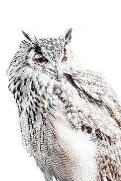 Eule in Weiß Silence Intensive Dose mit grafischem Detail von Femke Ketelaar