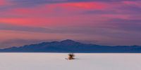 White Sands National Monument, New Mexico, USA