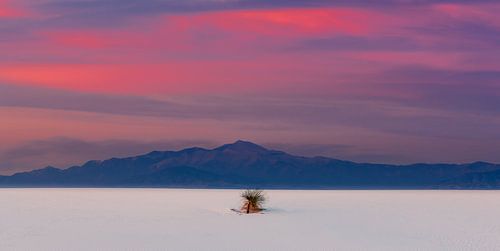 White Sands National Park, New Mexico, USA