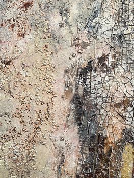 Zusammenfassung: „Cracked Earth“
