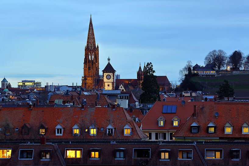 Stadtdächer in Freiburg von Patrick Lohmüller