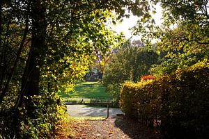 Autumn atmosphere in Bremen Switzerland