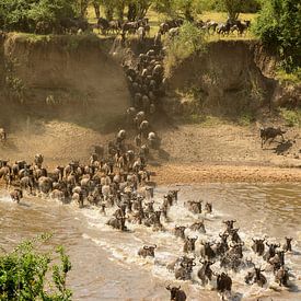 Durchquerung der Masai Mara von Sjaak Kooijman