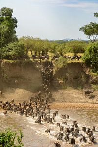 Crossing Masai Mara