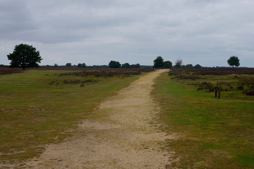 Een zandpad over de Ermelosche Heide van Gerard de Zwaan