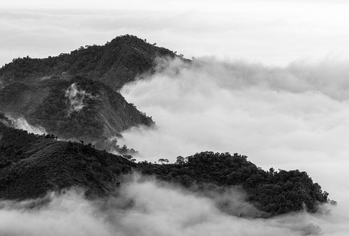 Een zee van wolken rond de bergtoppen van Alishan