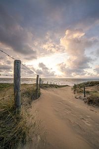 Zee, duin en strand, leven aan de kust van Dirk van Egmond