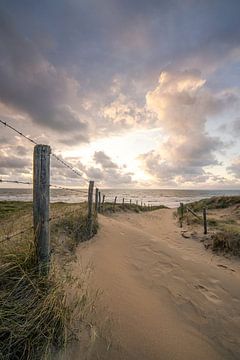 Zee, duin en strand, leven aan de kust by Dirk van Egmond