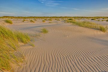 Duinen van Texel